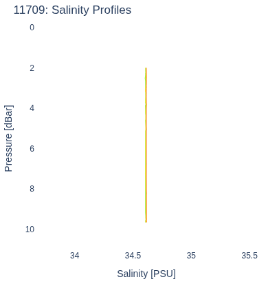 Salinity Profiles
