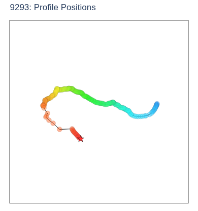 Profile Positions