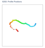 Profile Positions