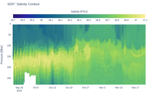 Salinity Contour