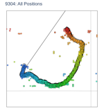 All Positions