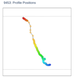 Profile Positions